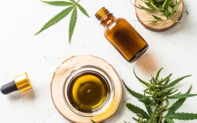 Cannabis oil in a glass jar with a dropper, surrounded by fresh hemp leaves and wooden coasters, representing cannabinoid products at Ignite Dispensary.
