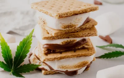THC-infused s'mores with graham crackers, marshmallows, and chocolate, garnished with cannabis leaves, showcasing Ignite Dispensary's seasonal edible recipes.