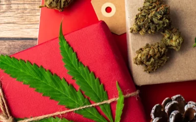 The Gift of Wellness and Fun: Cannabis for Your Holiday Shopping List