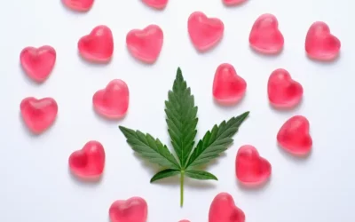 For the Love of Cannabis: Elevated Date Night Ideas
