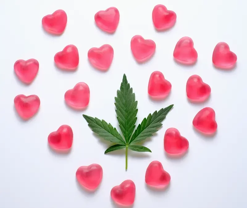 For the Love of Cannabis: Elevated Date Night Ideas