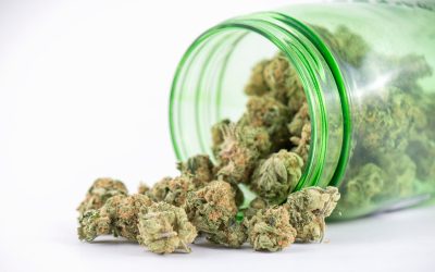 How to Read a Cannabis Product Label Like a Pro